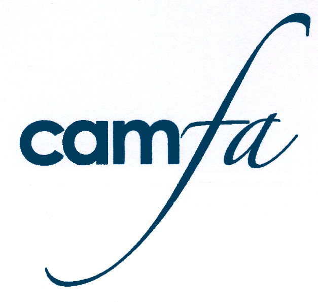 E-business solutions from Camfa